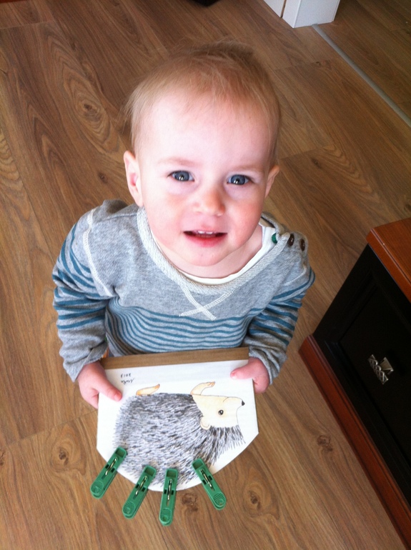 Изучаем животных, мини ТН, 1,4 года