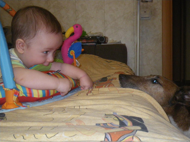 7 месяцев, для истории.