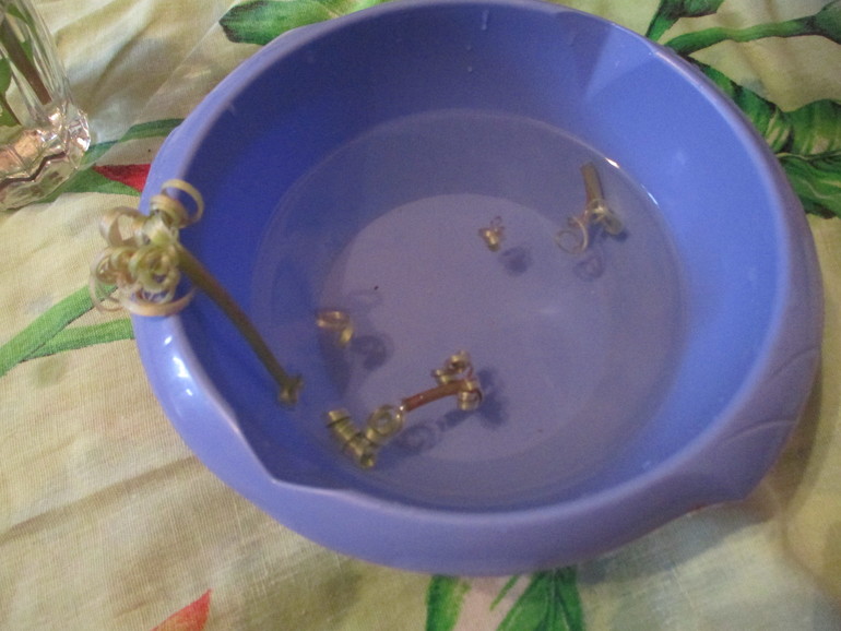 ТЗ Солнышко на ножке.