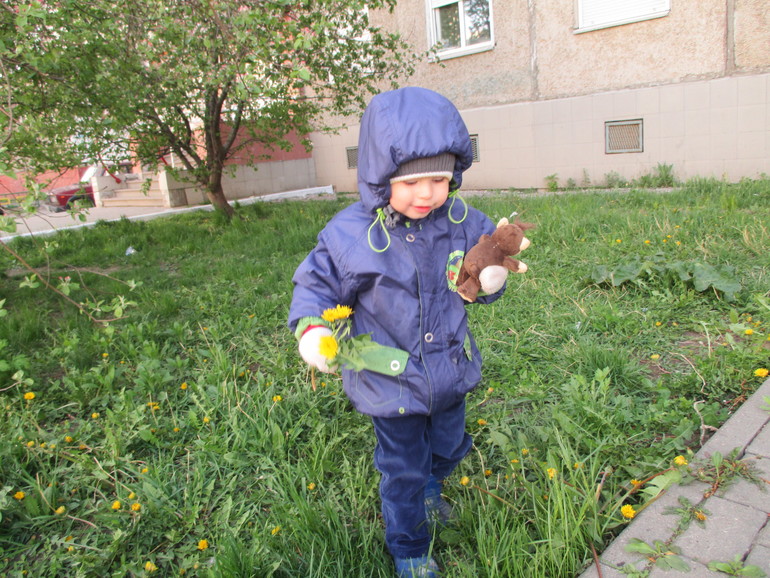 ТЗ Солнышко на ножке.