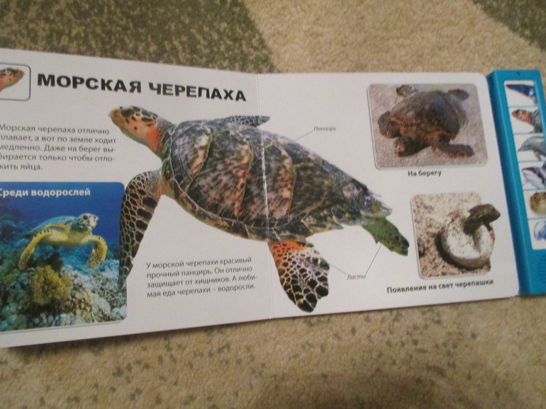 ФМ Море. День четвертый.