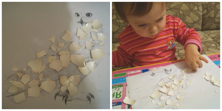 ТН Арктика и Антарктида. ФМ. День 4. Птицы.