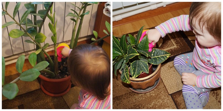 ТН Африка. День 1. Знакомство с континентом.