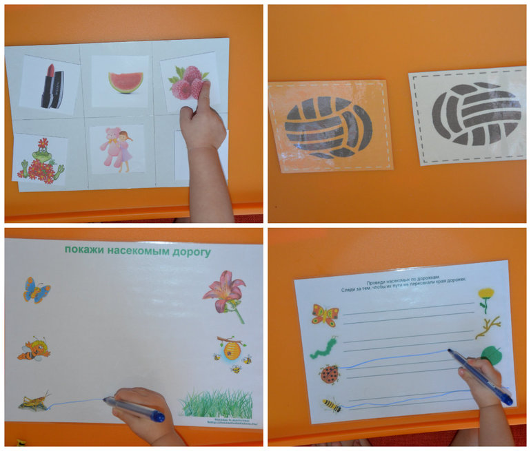 ТН Насекомые. Пчела.