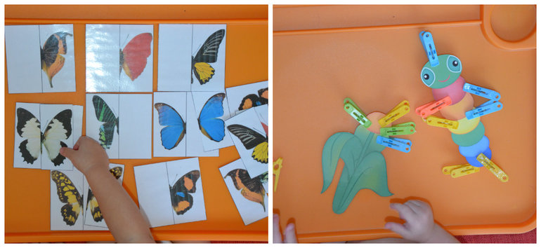 ТН Насекомые. Бабочка.