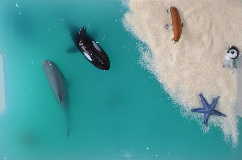 ТН Арктика и Антарктида. День 4.