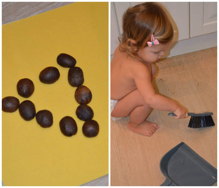 ТН Транспорт