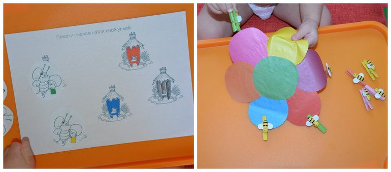 ТН Насекомые. Пчела.