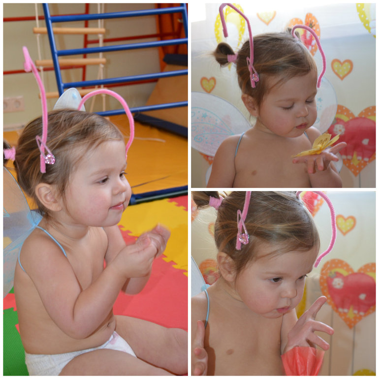 ТН Насекомые. Бабочка.