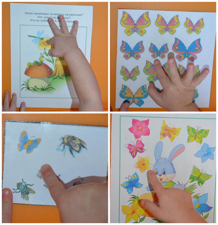 ТН Насекомые. Бабочка.