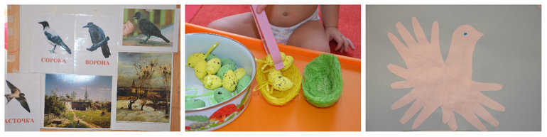 ТН Птицы. Городские.