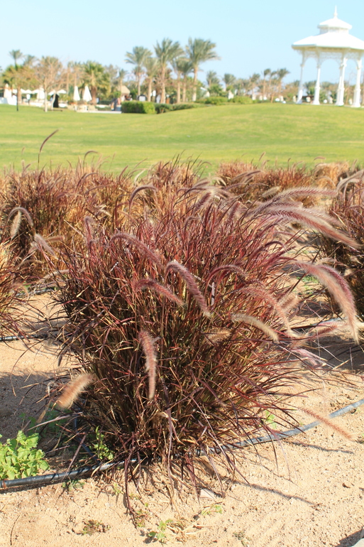 Про наш отдых