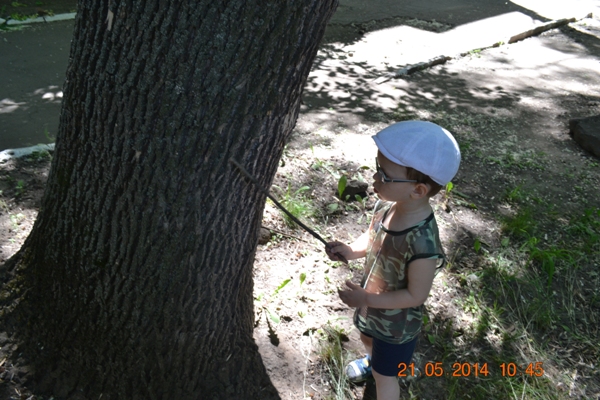 «Сказочные прогулки»