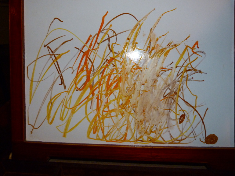 ТН Дикие животные. Ёж