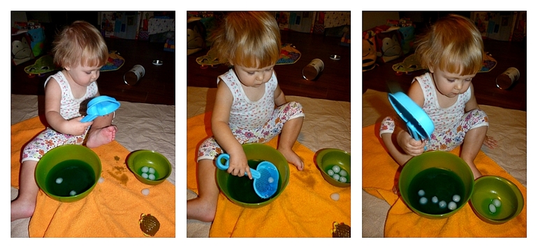 ТН Дикие животные. Ёж