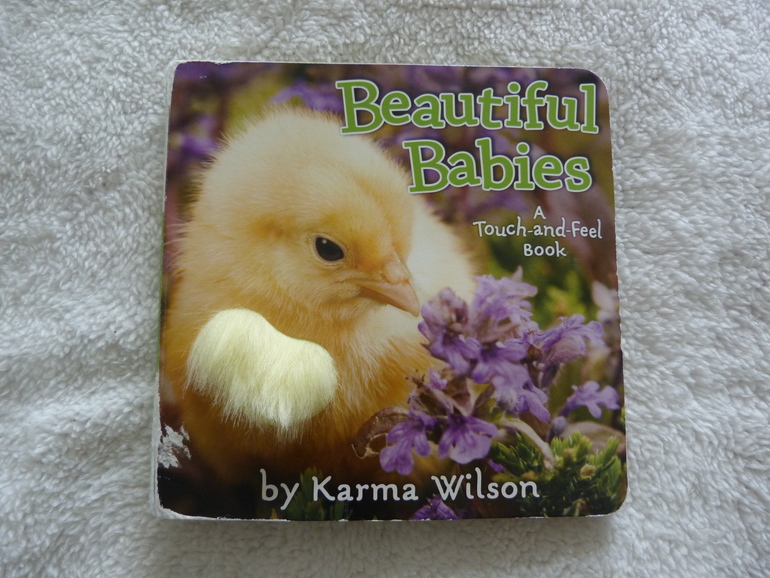 Наше чтение с 16,5 месяцев  до 17,5 месяцев)