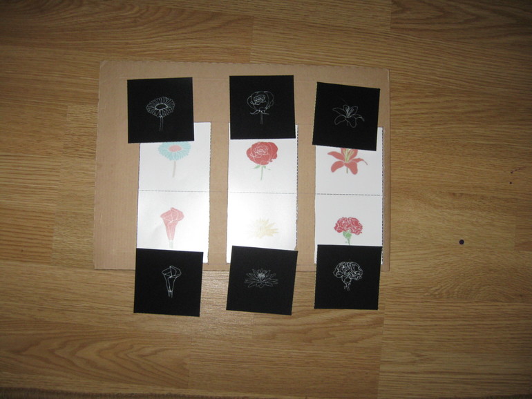 Шичида: Цветное безобразие состоялось