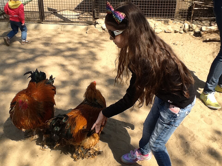 ЗООПАРК продолжение 01.05.2014