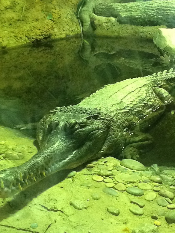 ЗООПАРК продолжение 01.05.2014