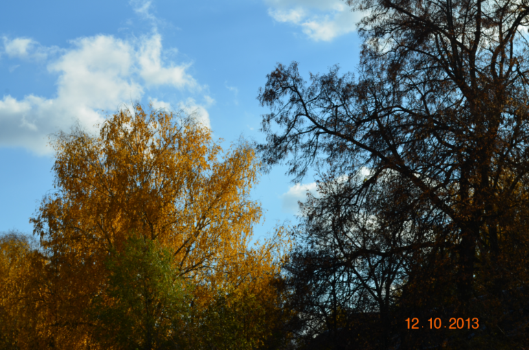 878bbfd87b4dbad8a94c9ca463445d06.jpg