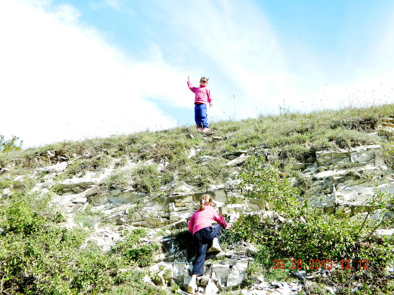 Наши прогулки*)