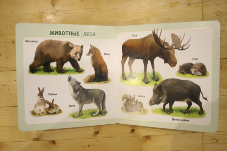 Наши книги в 1 год. Осторожно, Очень много фото!
