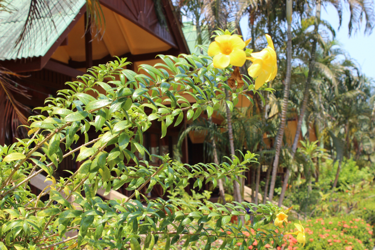 Картинки с отдыха