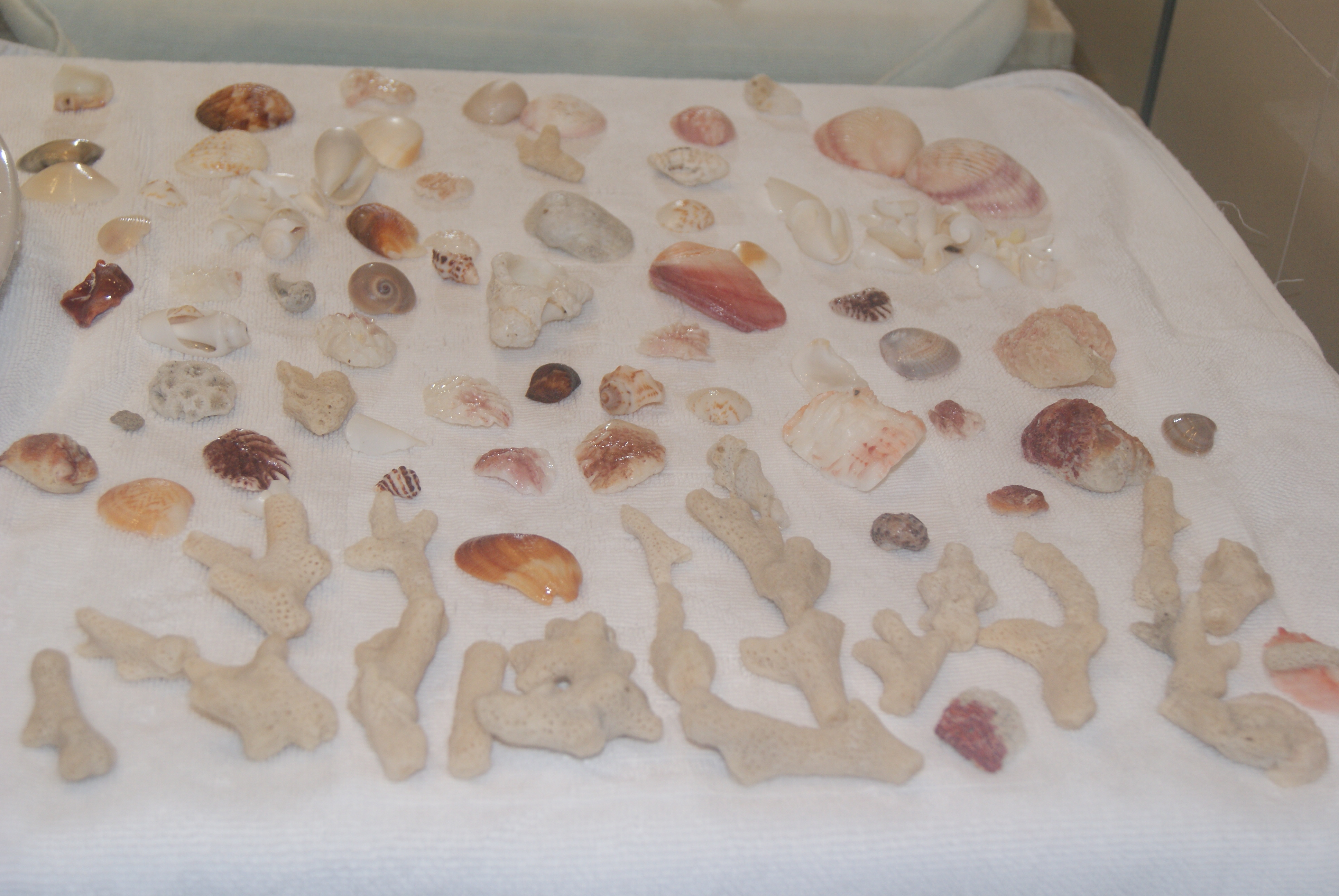 Что из этого можно сделать?