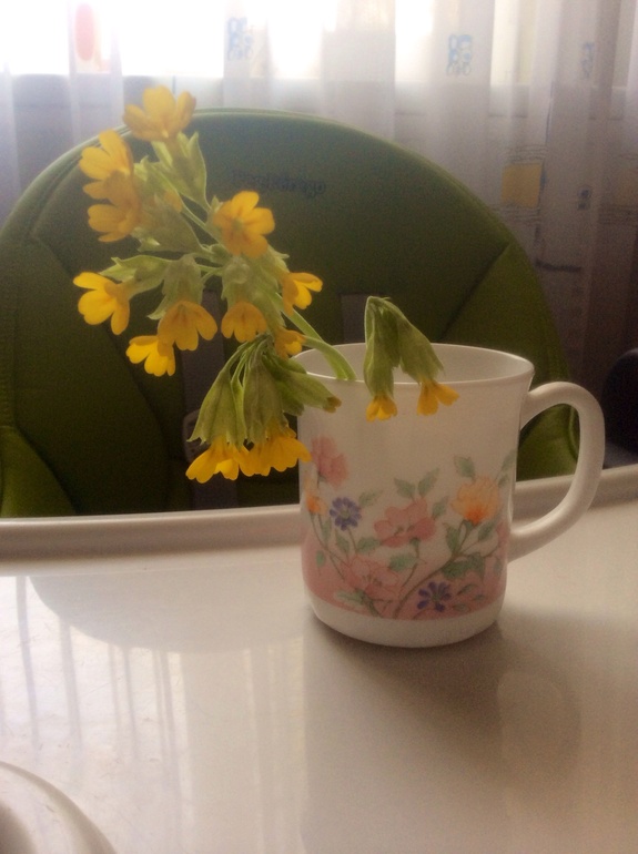 Сегодня мой сынок с прогулки принес маме цветы :)