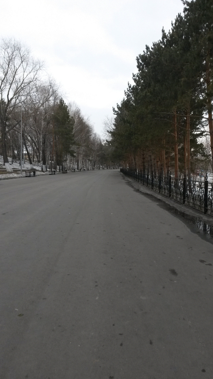 На прогулке...