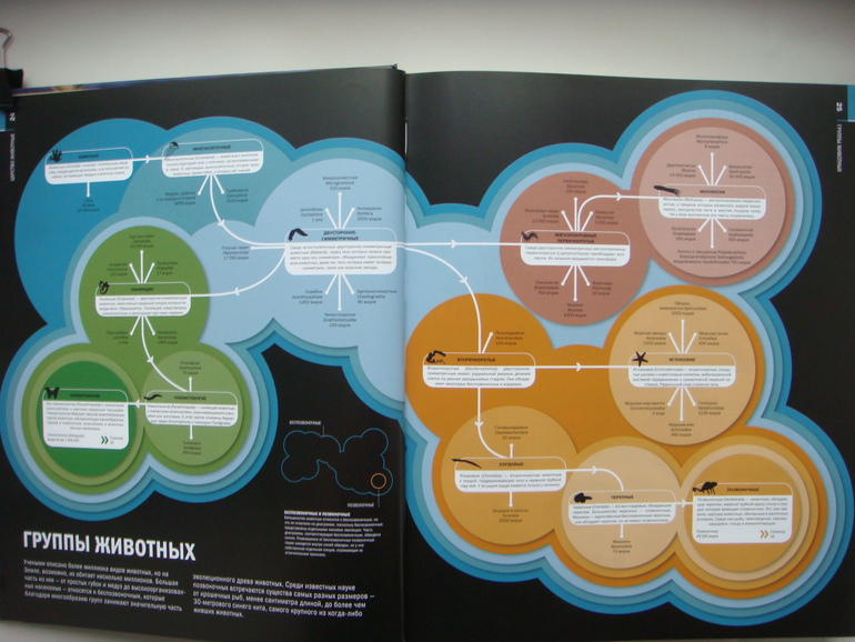 Животные. Большая иллюстрированная энциклопедия