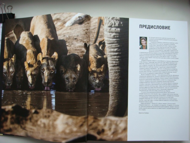 Животные. Большая иллюстрированная энциклопедия