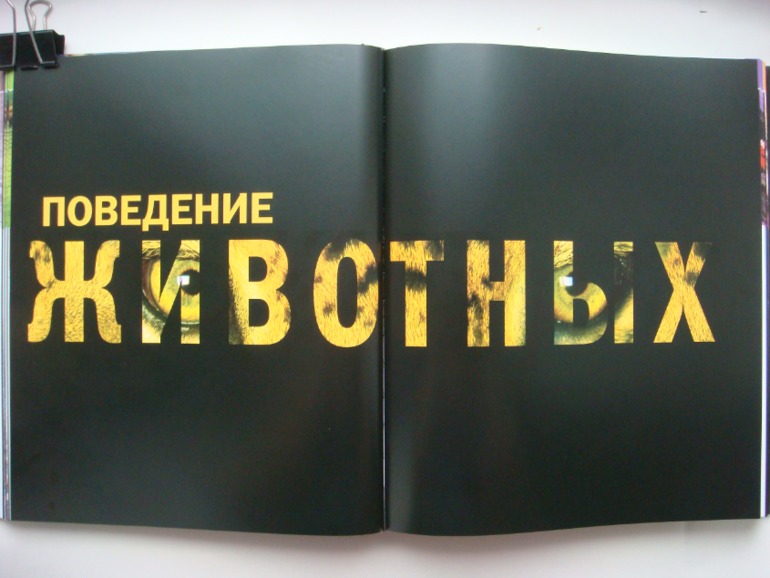 Животные. Большая иллюстрированная энциклопедия