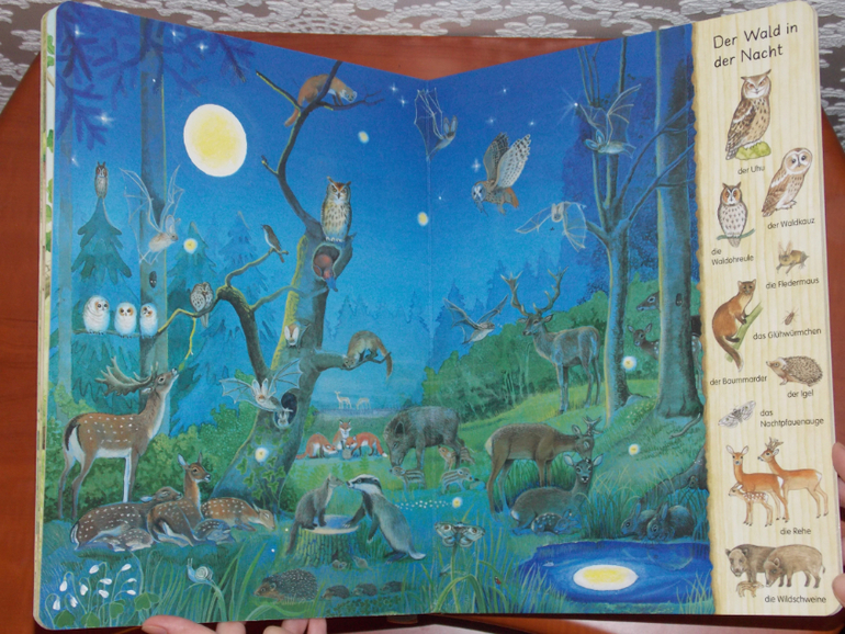 Развороты Mein erstes Wimmelbuch - Im Wald by Christine Henkel