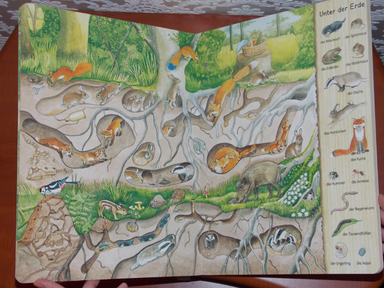 Развороты Mein erstes Wimmelbuch - Im Wald by Christine Henkel