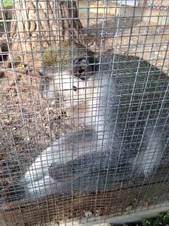 Вернулись из Турции)) (фото)