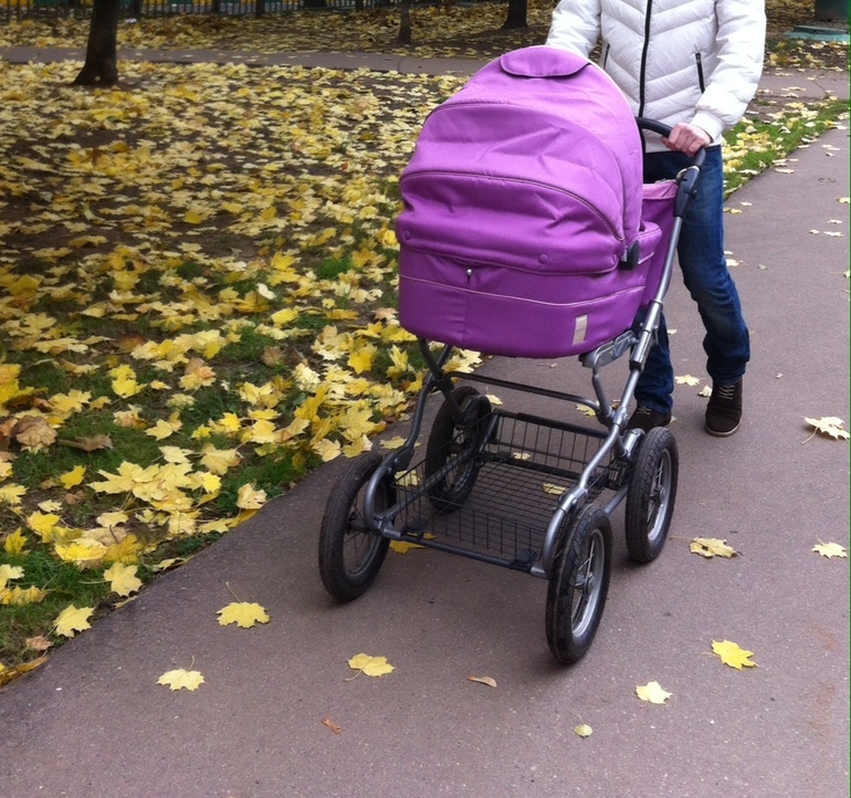 Коляска Inglesina Sofia