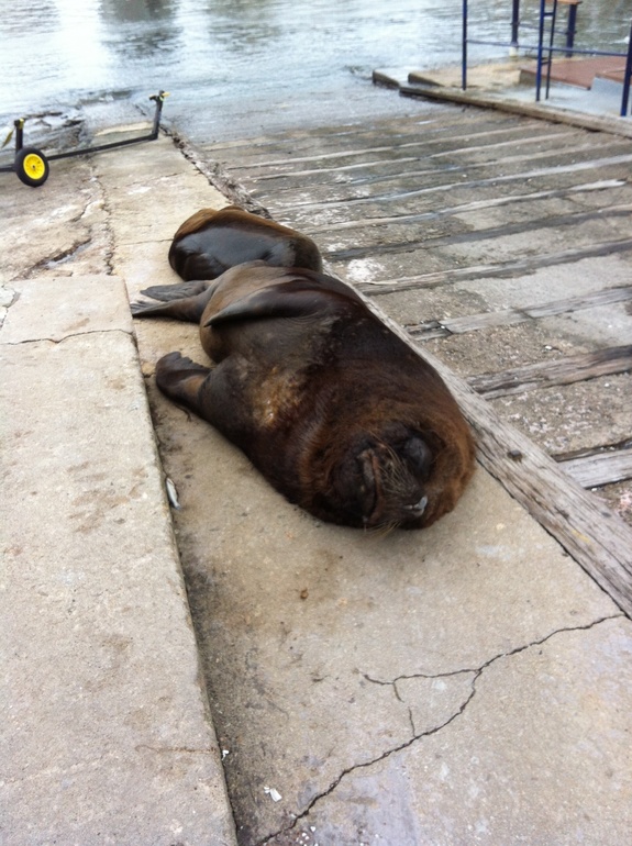 Мартовский флэшмоб. 10 марта.