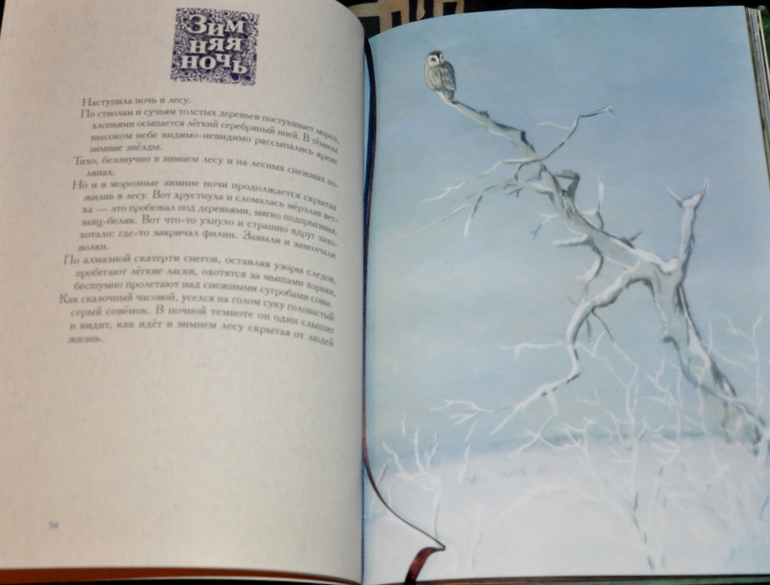 Очередное книжное (11)