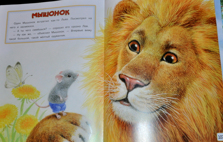 Очередное книжное (11)