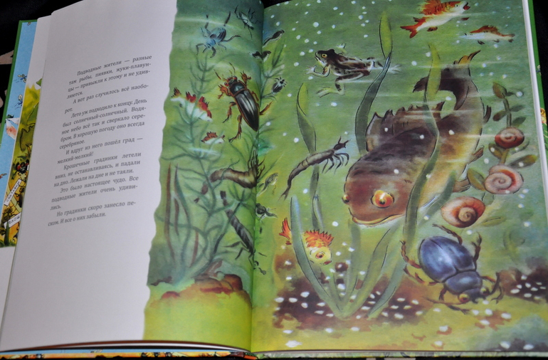 Очередное книжное (11)