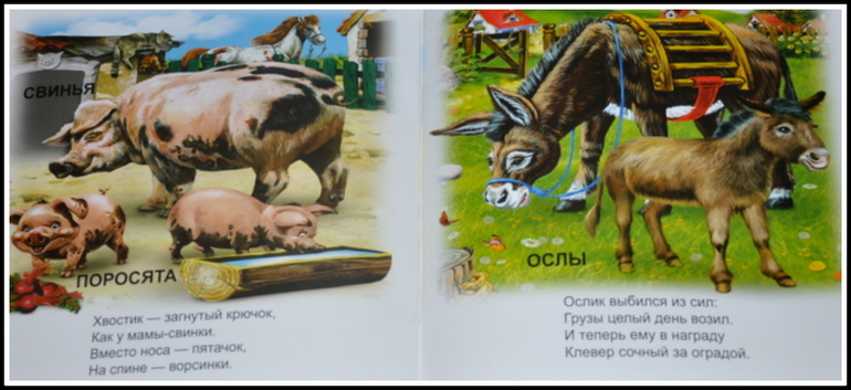 Книгообзор 5