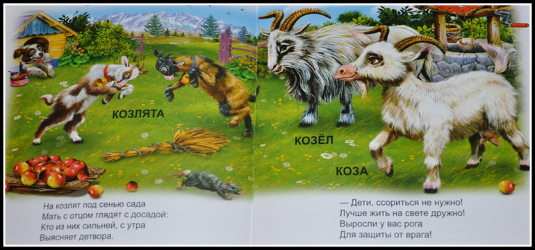 Книгообзор 5