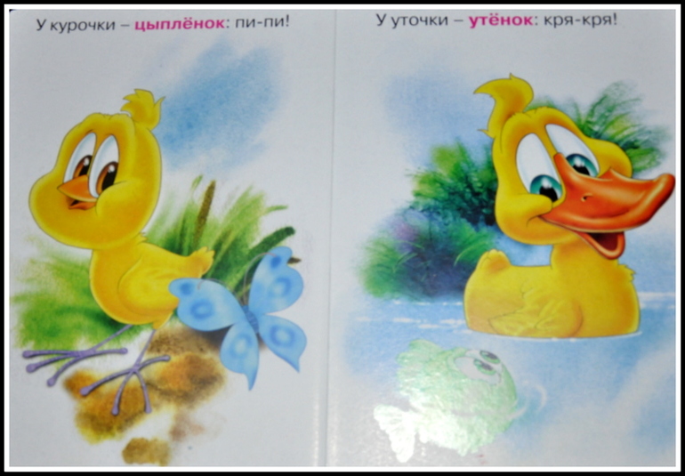 Книгообзор 5