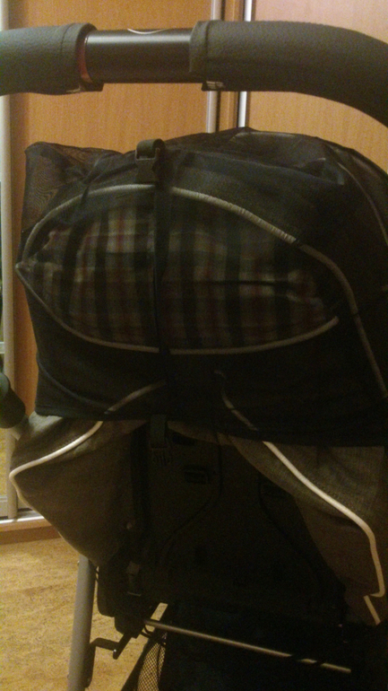 Teutonia Fun System 2 в 1 (цвет 4930). Первые впечатления, фотообзор.