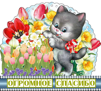 325a9eca4361bffe0e371c5344543486.gif