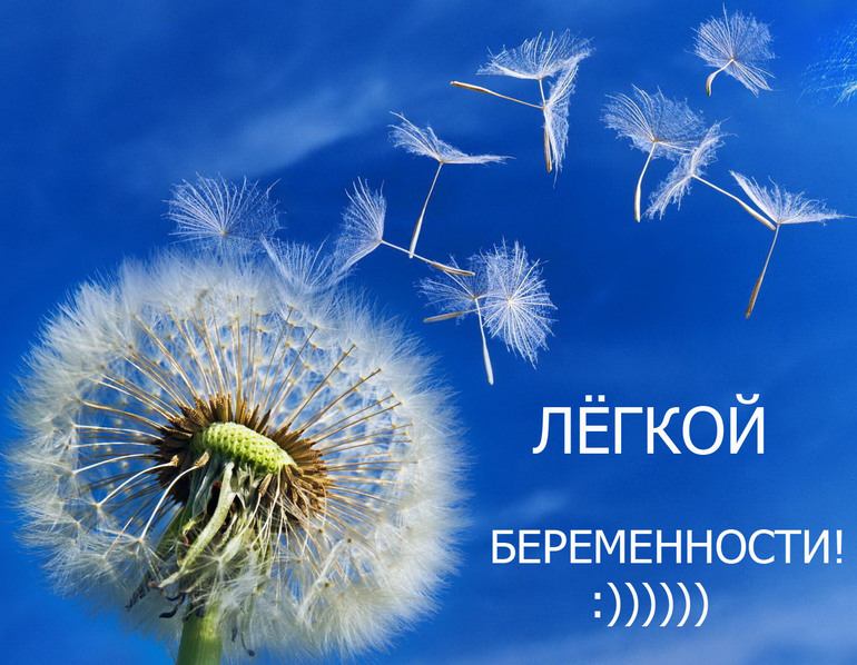 cd5df02bac54e5e33eff8ba5ecce85cd.jpg