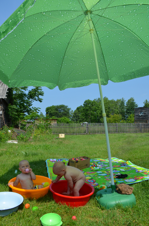 мои голопопики на прогулке)))