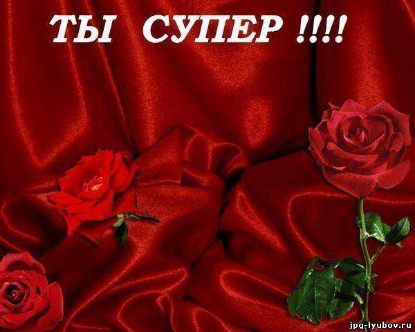 a82f05fff1438a3048be8107bc02e081.jpg