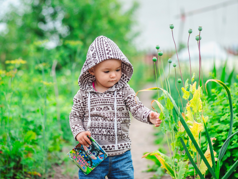 Когда не о чем поговорить, говорю о погоде)